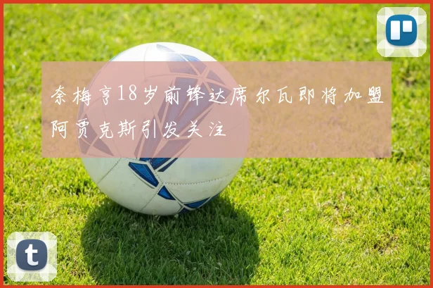 奈梅亨18岁前锋达席尔瓦即将加盟阿贾克斯引发关注