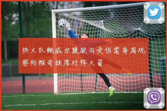 热火队鲍威尔腹股沟受伤需每周观察约维奇缺席对阵火箭